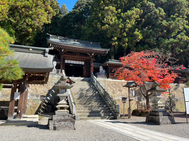 【高山　櫻山八幡宮】