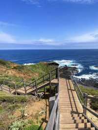 A Breathtaking Coastal Walk at Cape Schanck