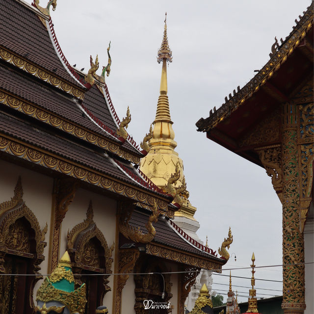 วัดแม่สารป่าแดด ลำพูน – วัดสวยซ่อนตัวกลางธรรมชาติ!