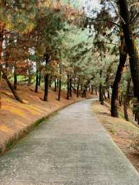 A Refreshing Escape at Putrajaya