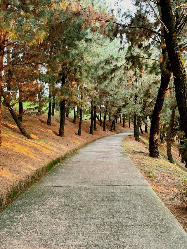 A Refreshing Escape at Putrajaya