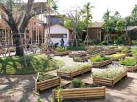 คาเฟ่ริมน้ำ หอมดิน กลิ่นจันทร์