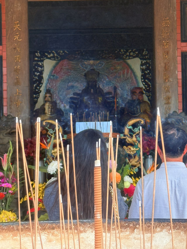 淡水｜粉色浪漫襲捲天元宮 吉野櫻嫁接山櫻花超強適應力櫻花