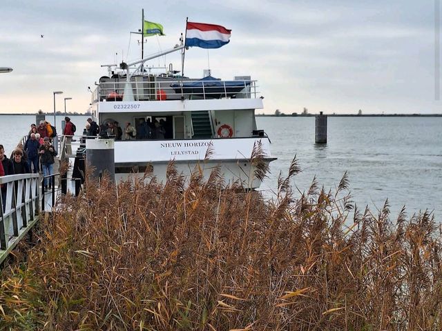 Marker Wadden