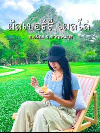 มัลเบอร์รี่ เมลโล่ | คาเฟ่หญ้าเขียว 🍃