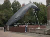 พาเดินเล่น Ueno Park กิจกรรมเพียบ!