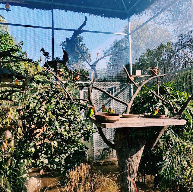 色とりどりの鳥たちに癒される自然公園 🐦