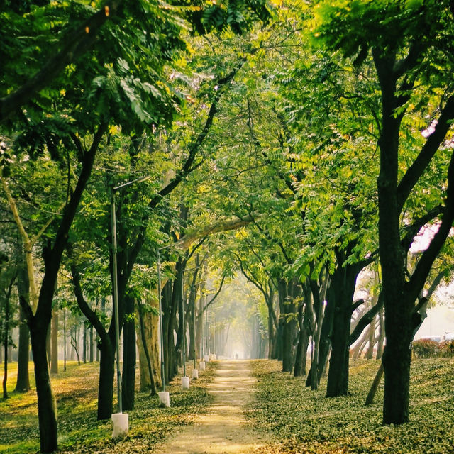 都市の中心に広がる癒しの緑地🌳