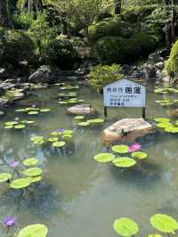 【大分】海地獄、別府地獄めぐり👹