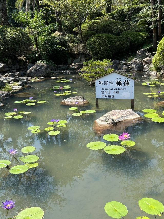 【大分】海地獄、別府地獄めぐり👹