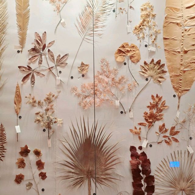 Shanghai Natural History Museum