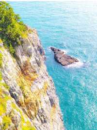 부산 여행 가볼만한 곳 태종대 유원지🌊🌿