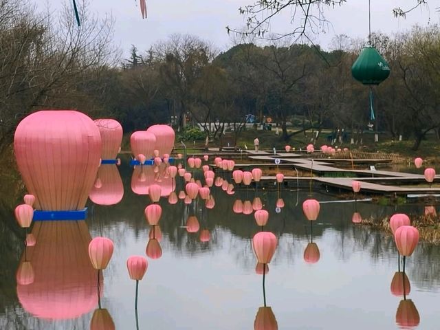 西溪濕地，搭搖櫓船體驗靜謐的濕地生態風光