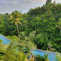 Serene Escape: The Westin Resort & Spa Ubud, Bali