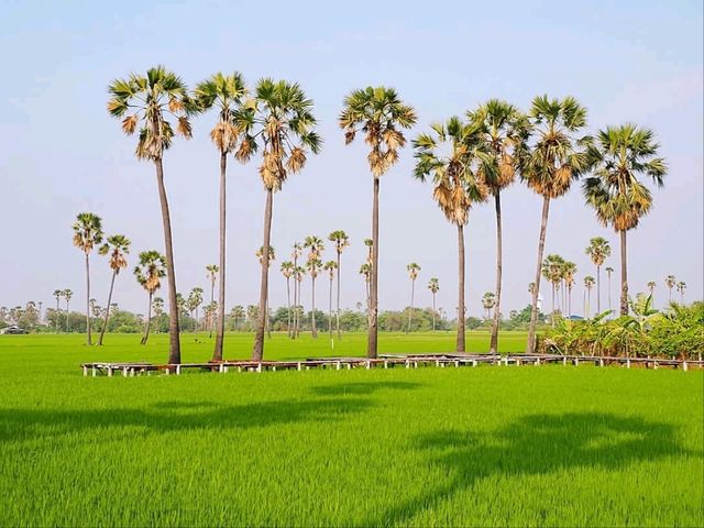 พักผ่อนใกล้กรุงฯ กับคาเฟ่วิวดงตาล 🌴🤩