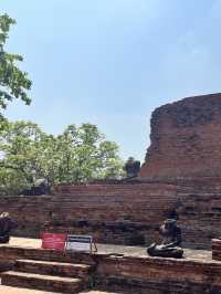 🇹🇭✅ワット・マハタート攻略ガイド｜アユタヤの神秘を体験 🌿