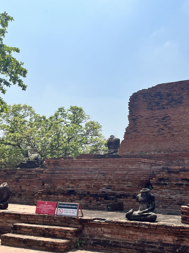 🇹🇭✅ワット・マハタート攻略ガイド｜アユタヤの神秘を体験 🌿