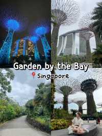 Gardens by the Bay 🌳สวนสุดอลังการในสิงคโปร์