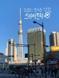 도쿄여행 2박3일 일정 대공개