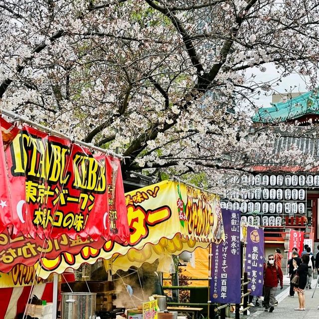 上野公園櫻花祭，池畔賞櫻野餐看祭典，浪漫又愜意！