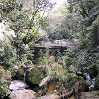 陽明山國家公園 (Yangmingshan National Park)