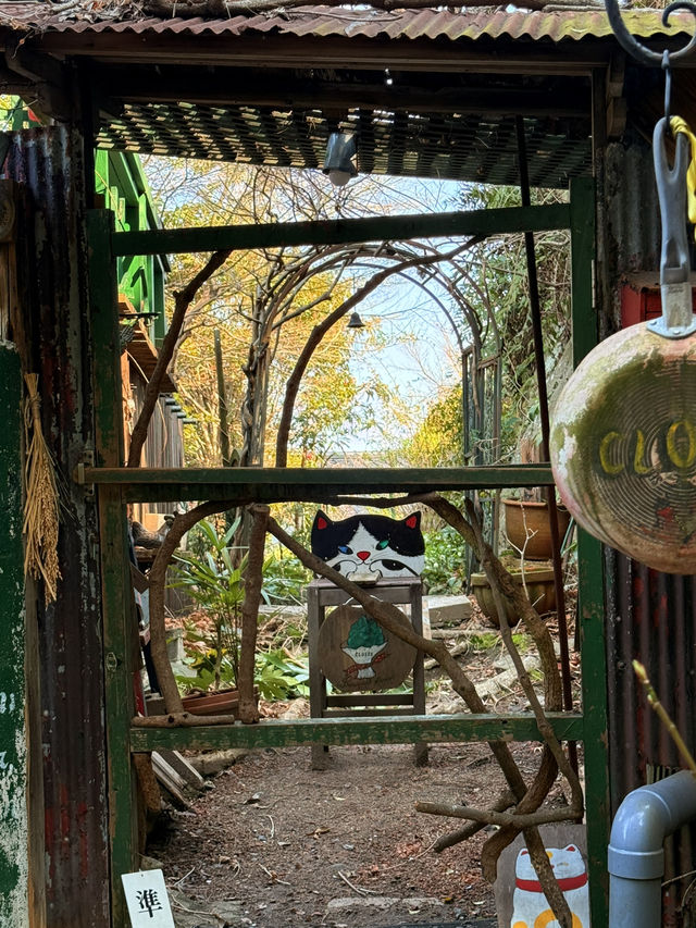 尾道｜到貓之細道小路探險 貓神社、貓咖啡像瀨戶內藝術節般的老街體驗