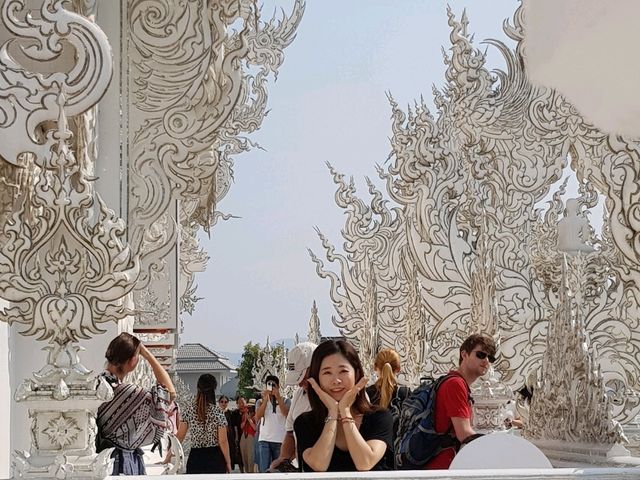 치앙마이 화이트템플🤍