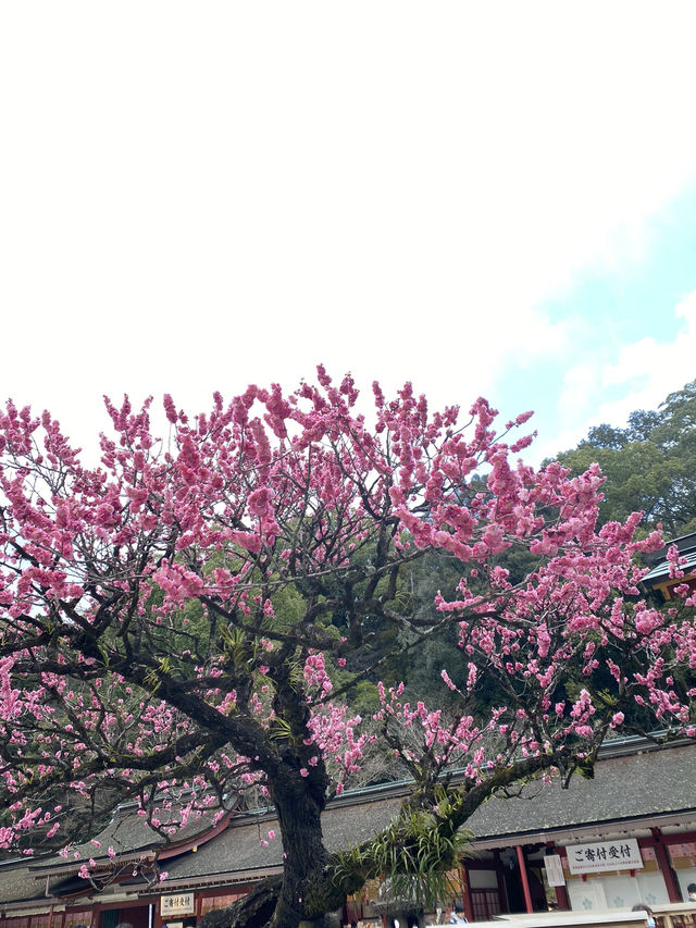 福岡旅遊