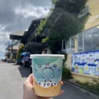 Day Trip Itinerary for Coco Cabana , Miri Sarawak 🛻📍