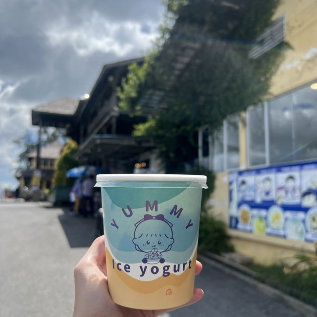 Day Trip Itinerary for Coco Cabana , Miri Sarawak 🛻📍