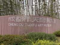 Chengdu Tianfu Art Museum 🇨🇳🖼️