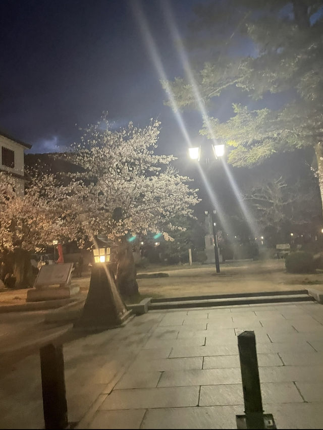 【錦帯橋】