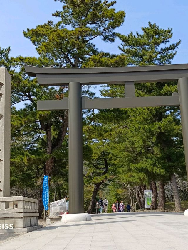 乘JR自由行賞花回憶