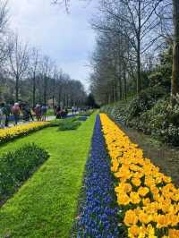 Keukenhof Gardens, literally a paradise for anthophiles & photography buffs! 