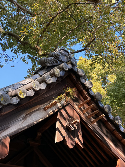 尾道｜900年巨大樟樹守護的艮神社跳躍吧時空少女拍攝地｜Trip