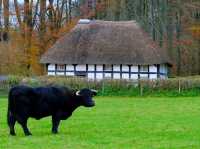 St Fagans National Museum of History 