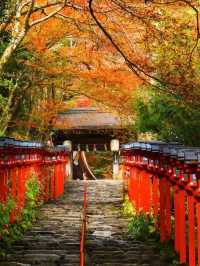 京都の紅葉名所10選 🍁✨