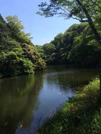 【鎌倉アルプス:北鎌倉・山之内・今泉の秘境から二階堂まで。散在ヶ池公園・陰陽滝・天園ハイキングコース 】
