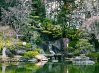 静寂と四季が彩る癒しの空間🌿⛲