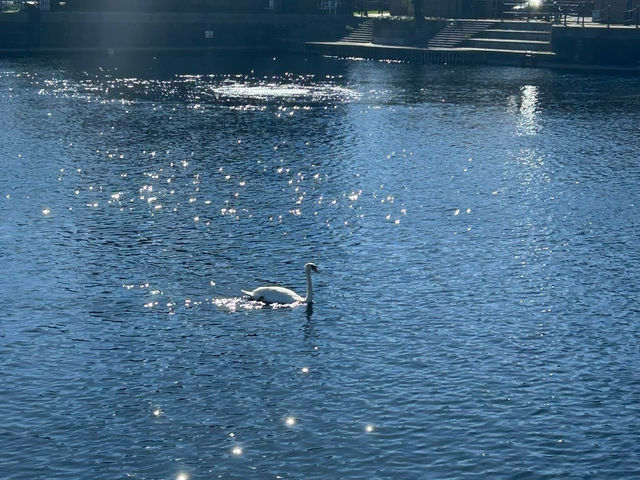 Salford Quays