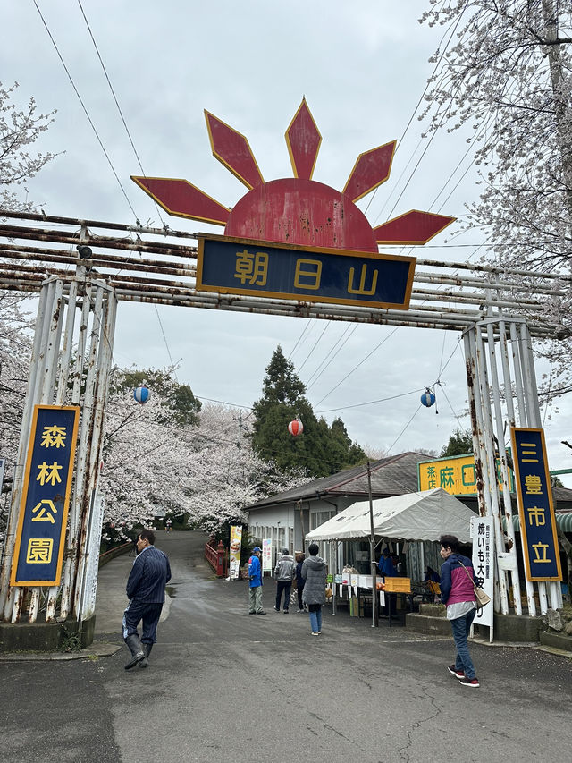日本香川縣-賞櫻秘境「伊勢朝日山本宮」美到仙境