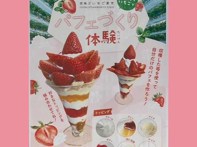 潜入"空飛ぶいちご"体験