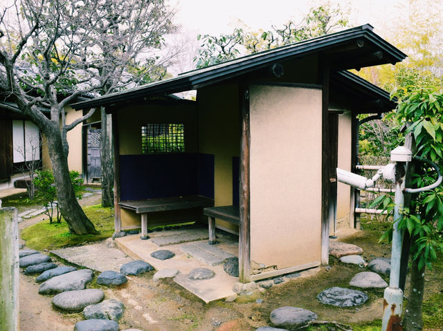 侘び寂びに触れる、心静まる茶室体験🍵⛩
