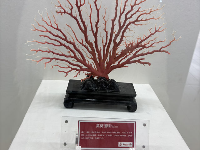 **🌊【廈門新晉網紅打卡】珊瑚大叔紅珊瑚博物館：探秘海底珍寶，感受海洋藝術魅力！✨**  