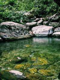 中國雲南騰衝著名景點高黎貢山自然保護區徒步旅行攻略，適合打卡拍照📸