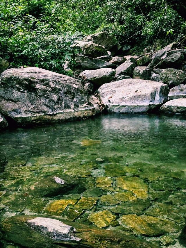 中國雲南騰衝著名景點高黎貢山自然保護區徒步旅行攻略，適合打卡拍照📸