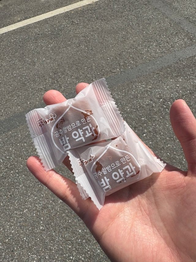 🤎공주의 시그니처 밤으로 만든 기념품 가득한 , "공주알밤센터"🤎