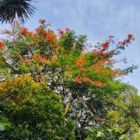 裕廊湖花園•熱帶奇花異卉