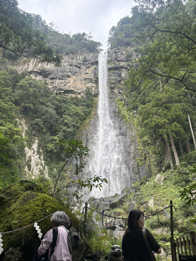 飛瀧神社的靜謐之旅 ⛩️💧