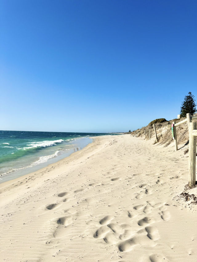 Cottesloe Beach a must-visit spot in Western Australia.